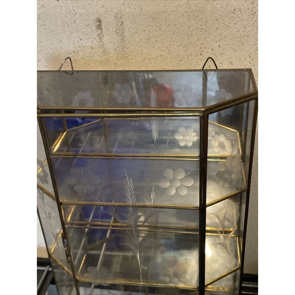 Vintage Etched Glass Brass Display Case Curio Cabinet Mirrored Back Wall Shelf